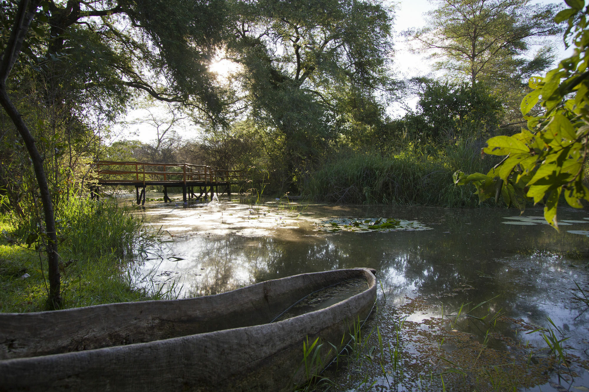 Villa Camp Nkwazi Livingstone Esterno foto