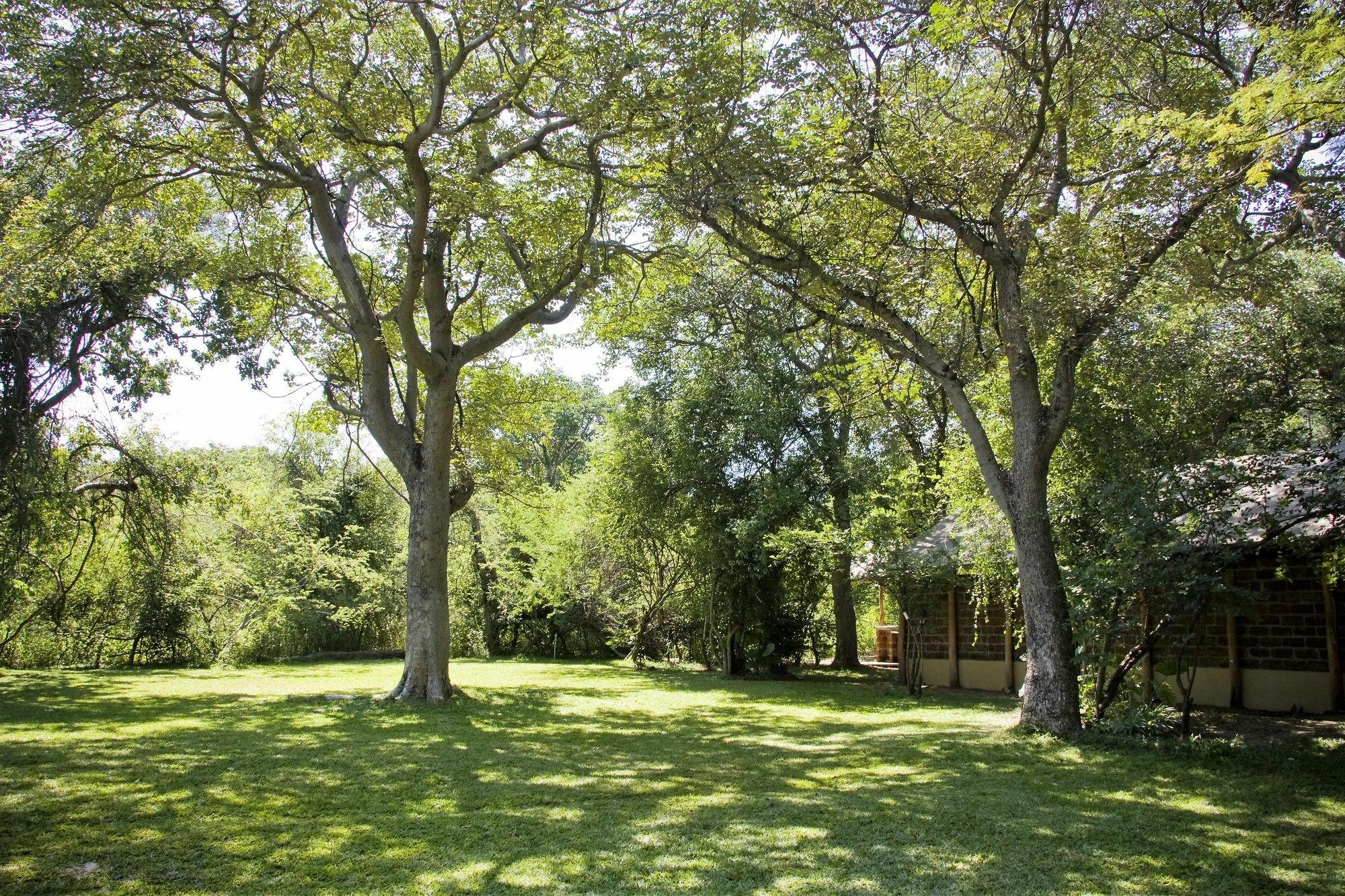 Villa Camp Nkwazi Livingstone Esterno foto