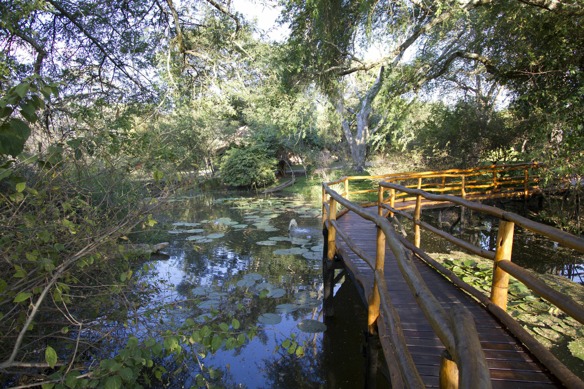 Villa Camp Nkwazi Livingstone Esterno foto